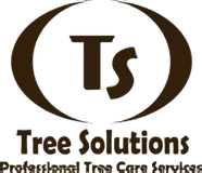 tree solutions company logo