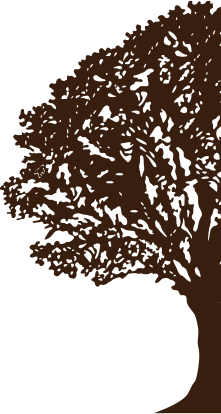 tree vector image